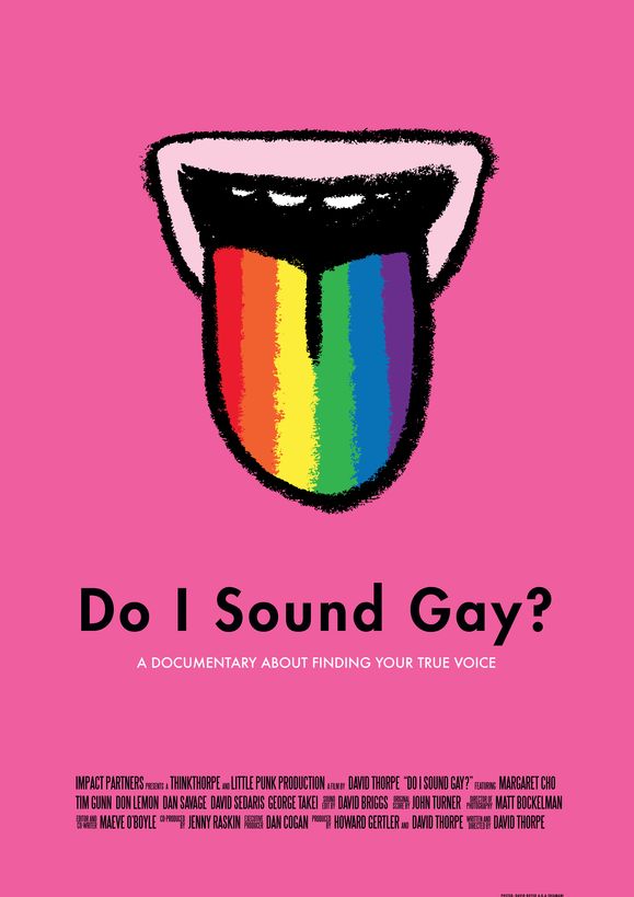 Do I Sound Gay? - Plakátok