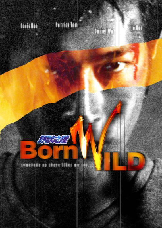 Born Wild - Posters
