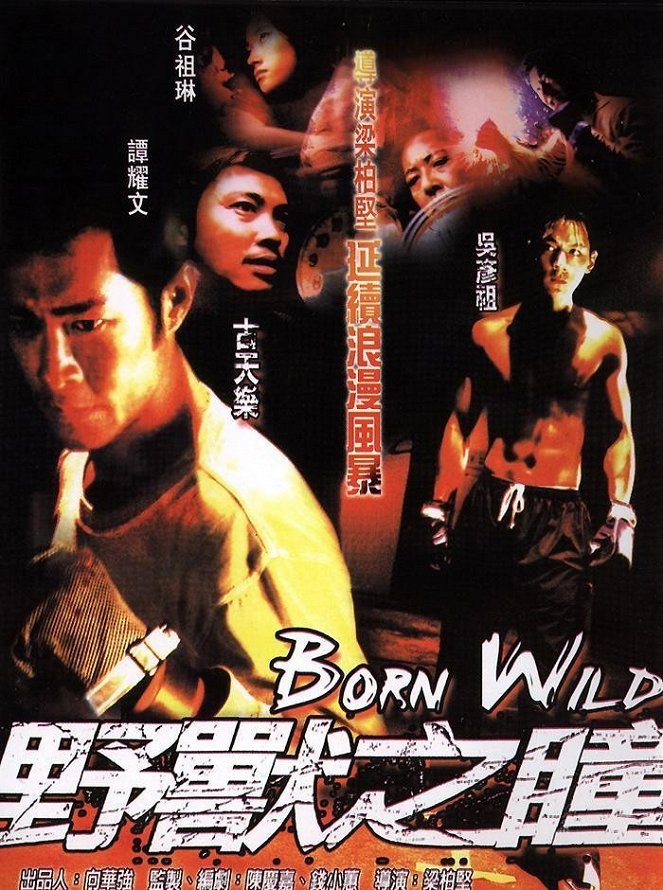 Born Wild - Posters