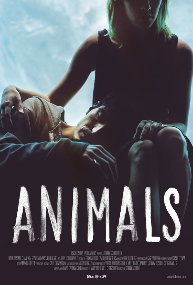 Animals - Affiches