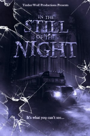 In the Still of the Night - Affiches