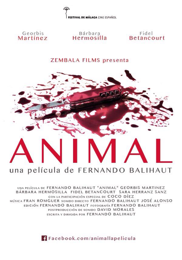 Animal - Plakáty