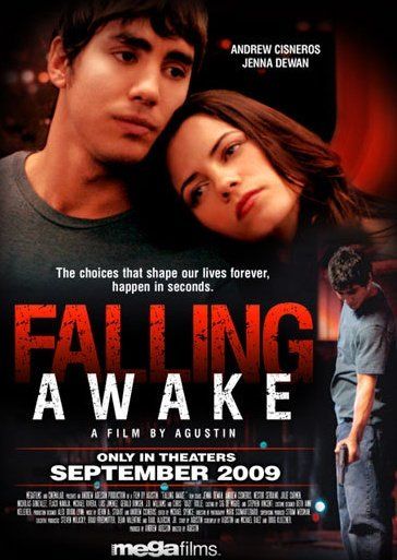 Falling Awake - Plakáty