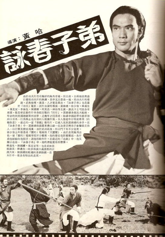 The Descendant of Wing Chun - Affiches