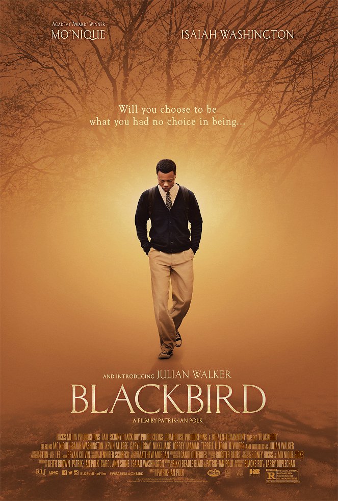 Blackbird - Plakáty