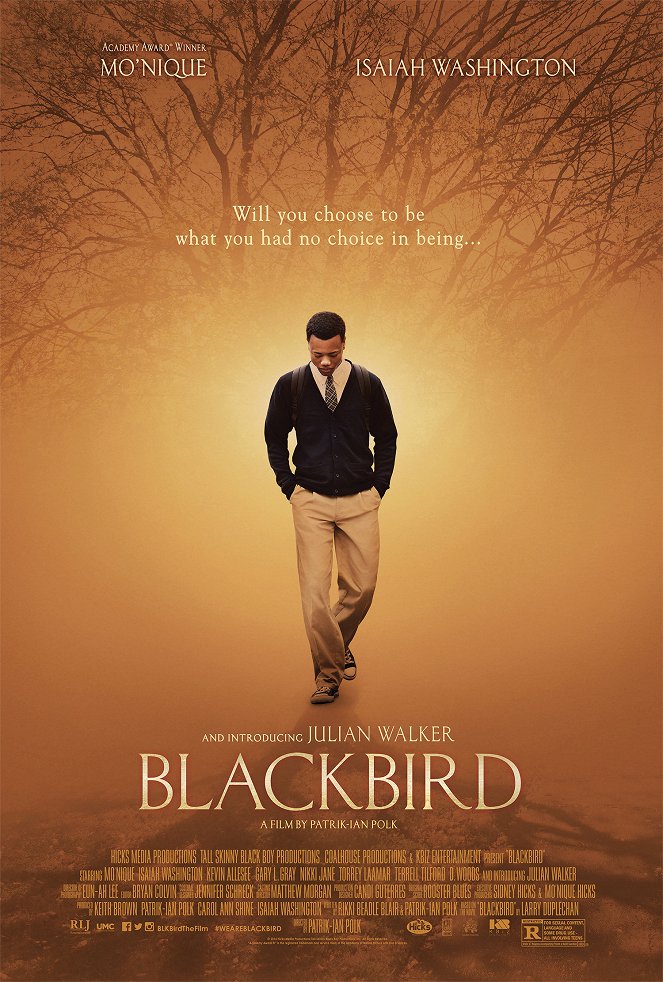 Blackbird - Affiches