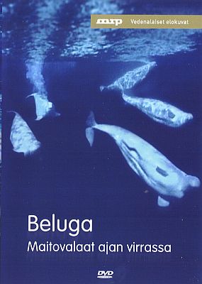 Beluga Speaking Across Time - Plakaty
