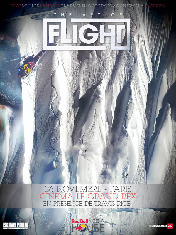 The Art of Flight - Affiches