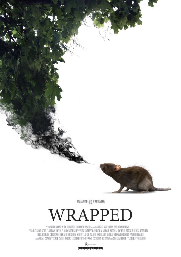 Wrapped - Julisteet