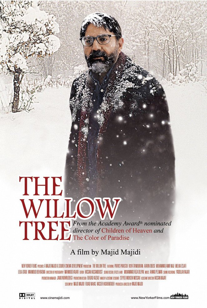 The Willow Tree - Posters