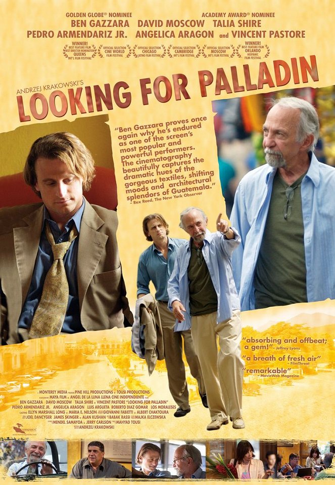 Looking for Palladin - Affiches