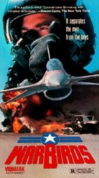 Warbirds - Posters