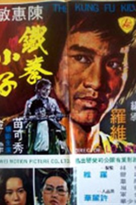 The Kung Fu Kid - Posters