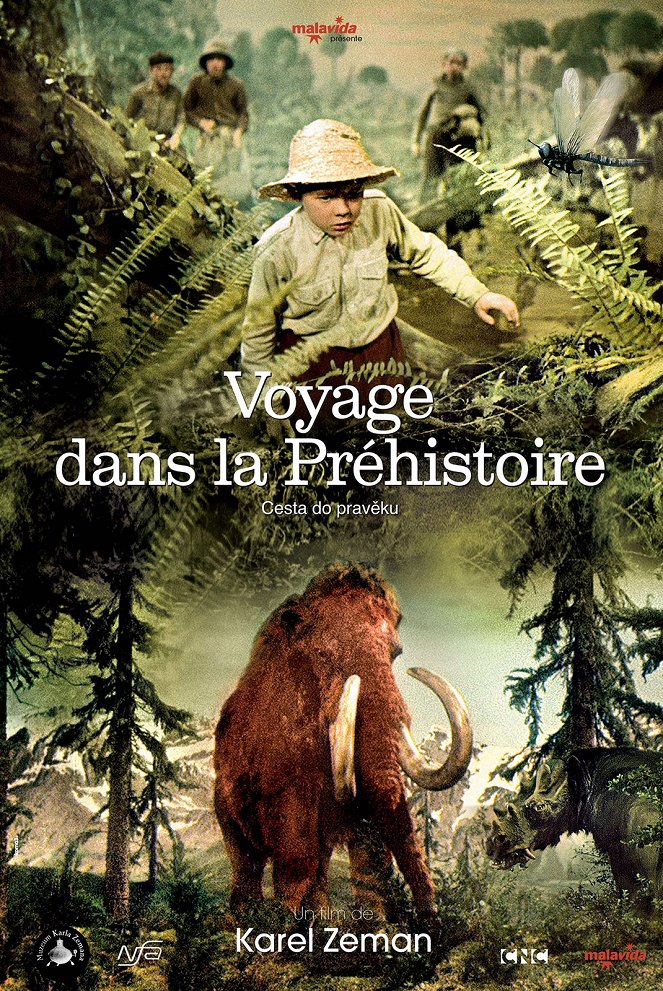 Voyage dans la préhistoire - Affiches