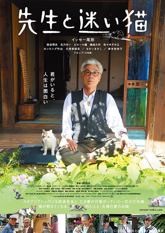 Teacher and Stray Cat - Posters