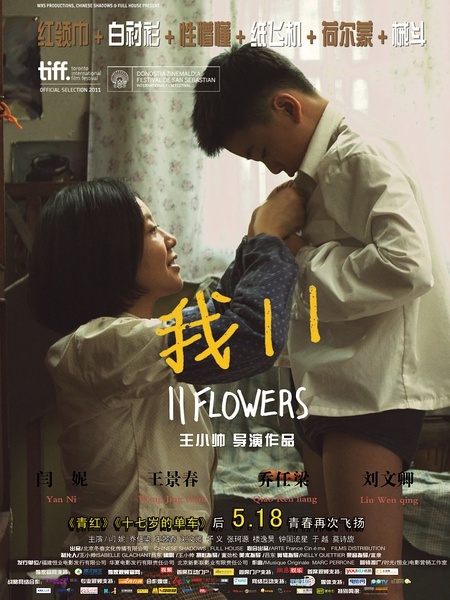 11 flores - Carteles