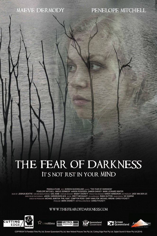 The Fear of Darkness - Julisteet