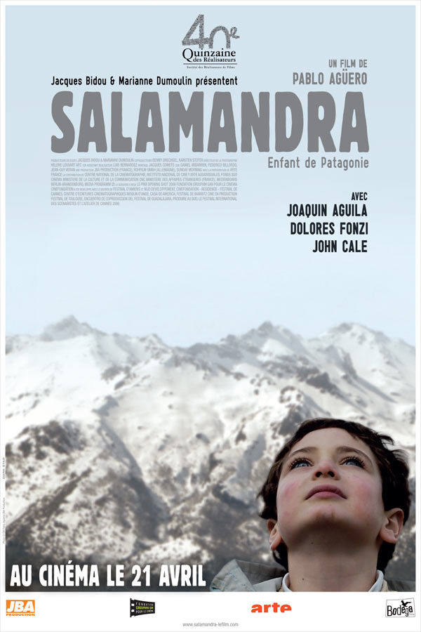 Salamandra - Plakate