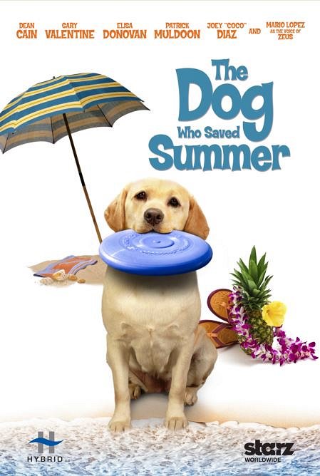 Ein Hund rettet den Sommer - Plakate