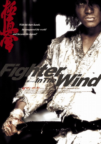 Fighter in the Wind - Plakate