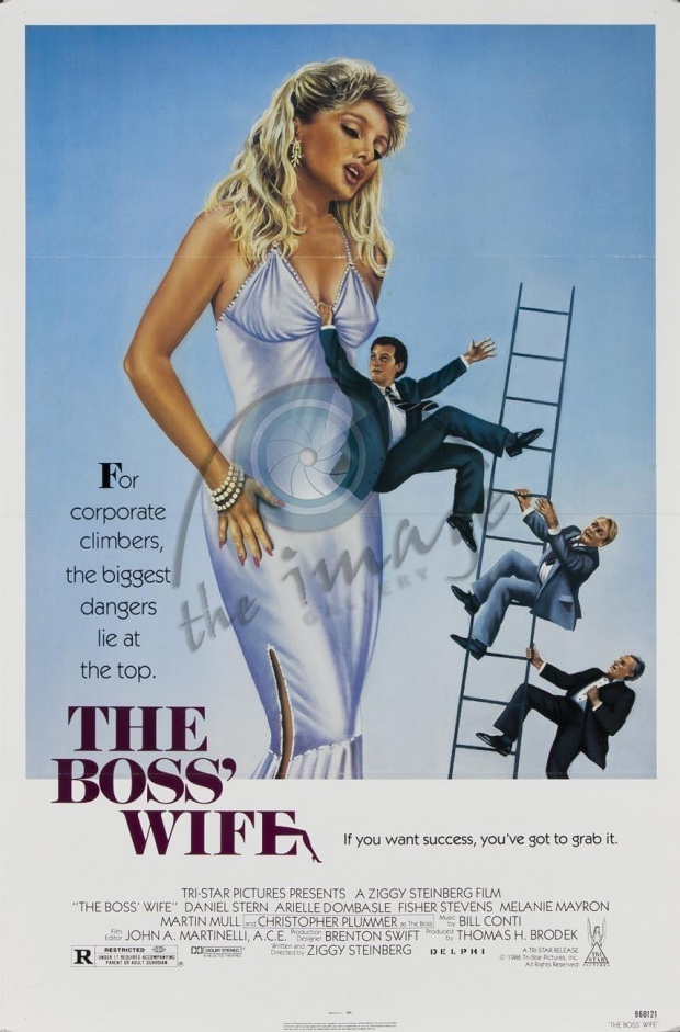 Šéfova manželka - Plakáty