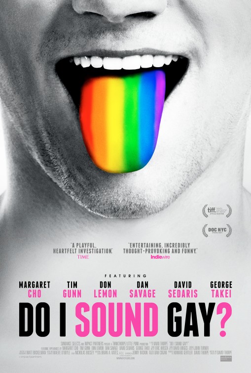 Do I Sound Gay? - Affiches