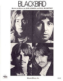 The Beatles: Blackbird - Plakate