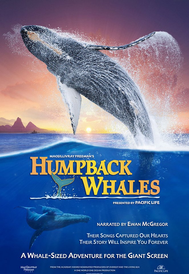 Humpback Whales - Plakátok