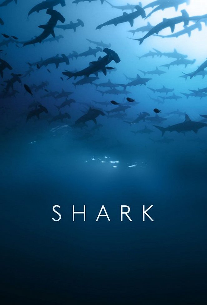 Die Welt der Haie - Plakate