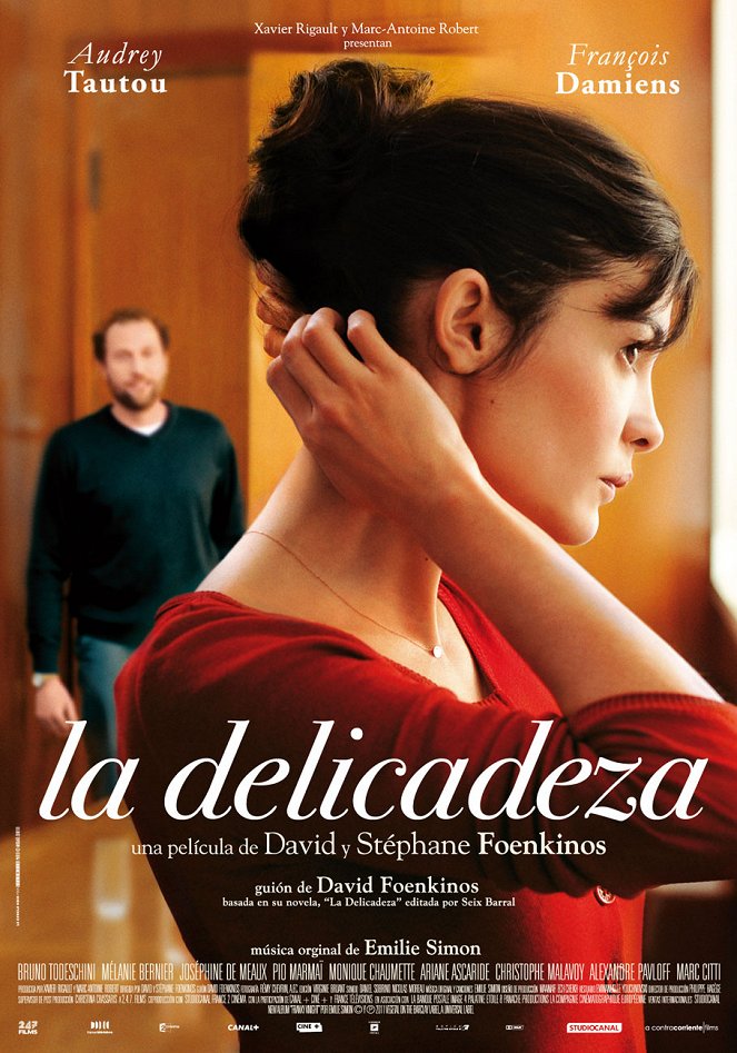 La delicadeza - Carteles