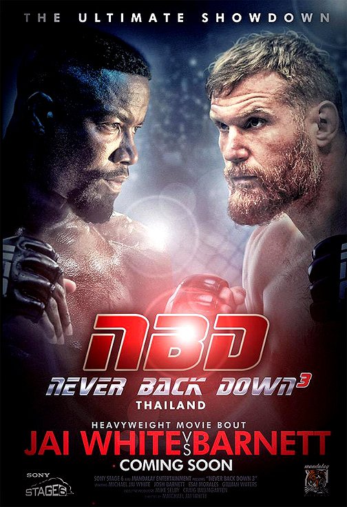 Never Back Down 3 - Affiches