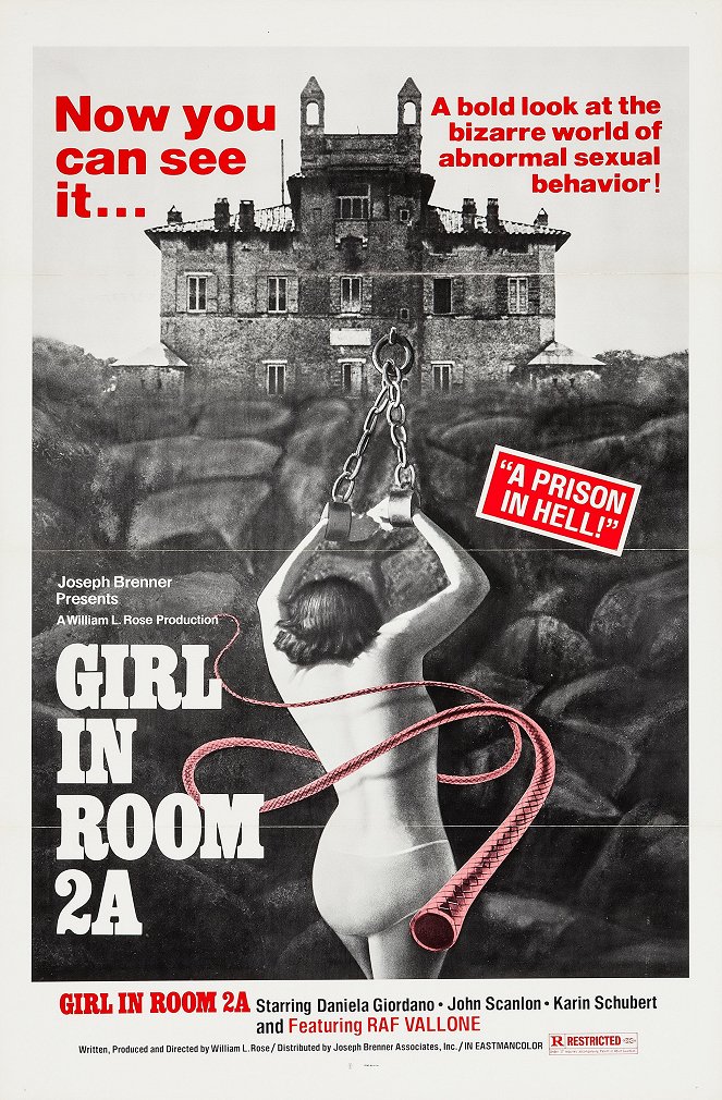 The Girl in Room 2A - Posters