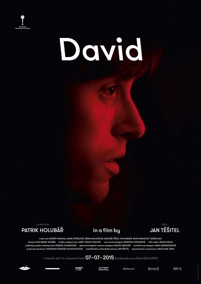 David - Plakátok
