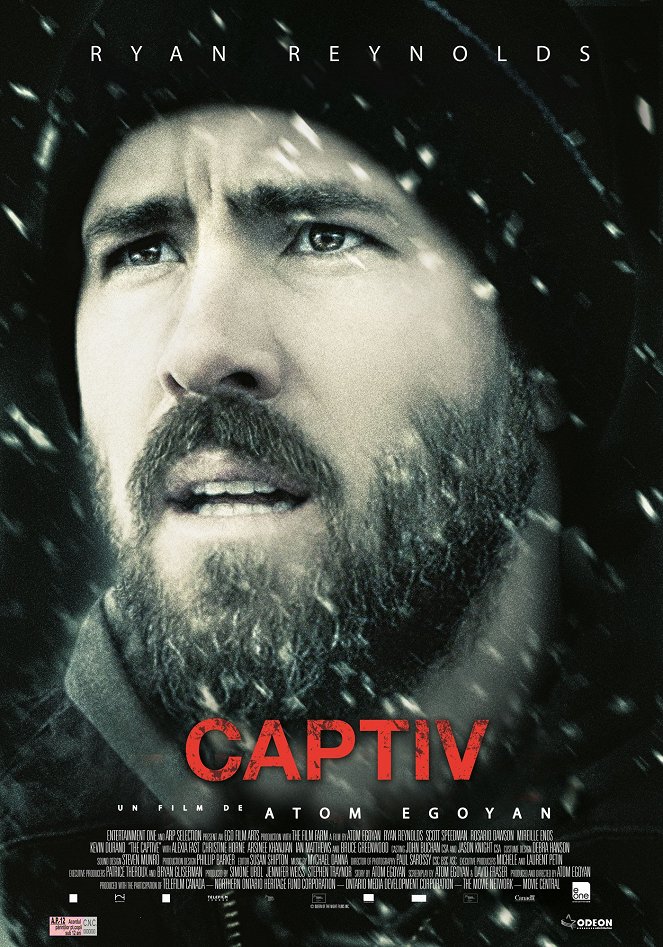 The Captive - Spurlos verschwunden - Plakate