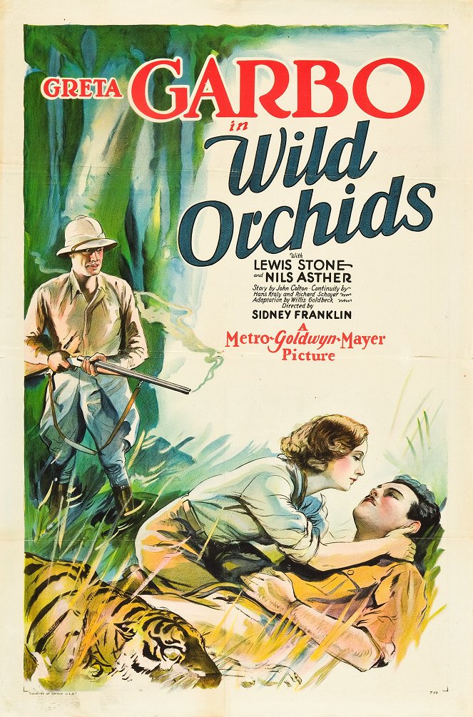 Wild Orchids - Posters