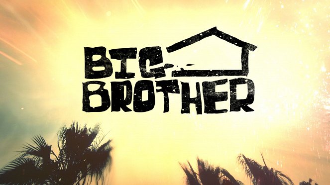 Big Brother - Posters