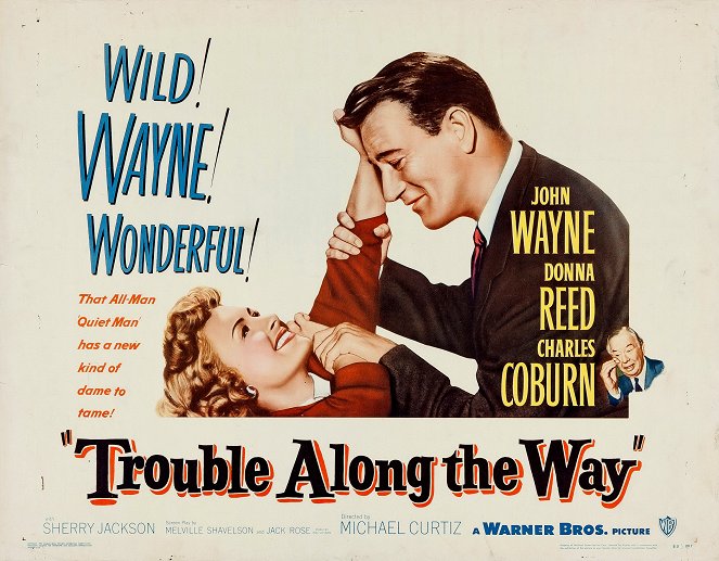 Trouble Along the Way - Posters
