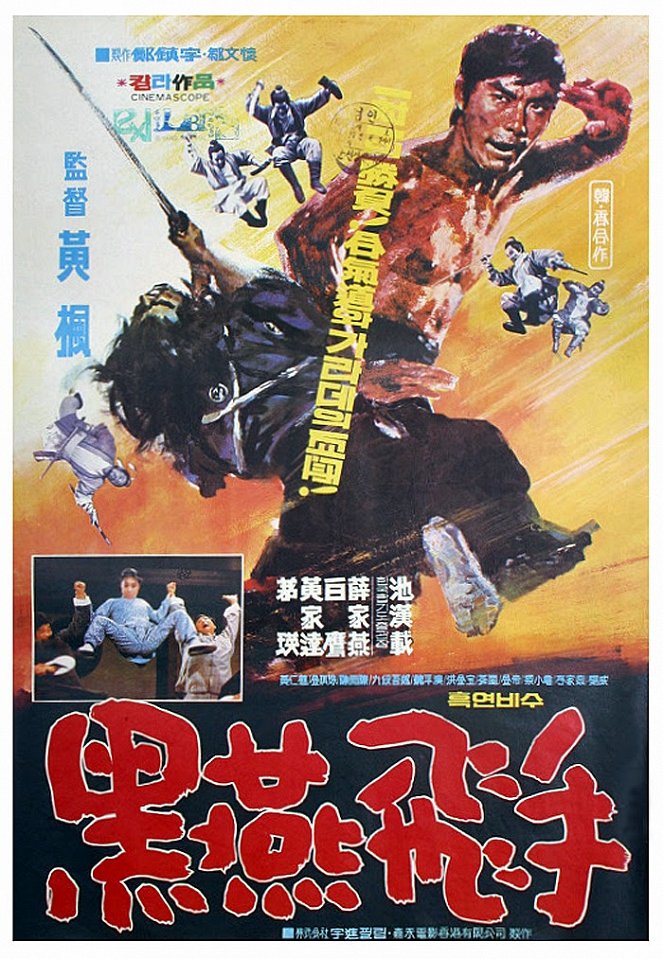 Lady Kung Fu - Affiches