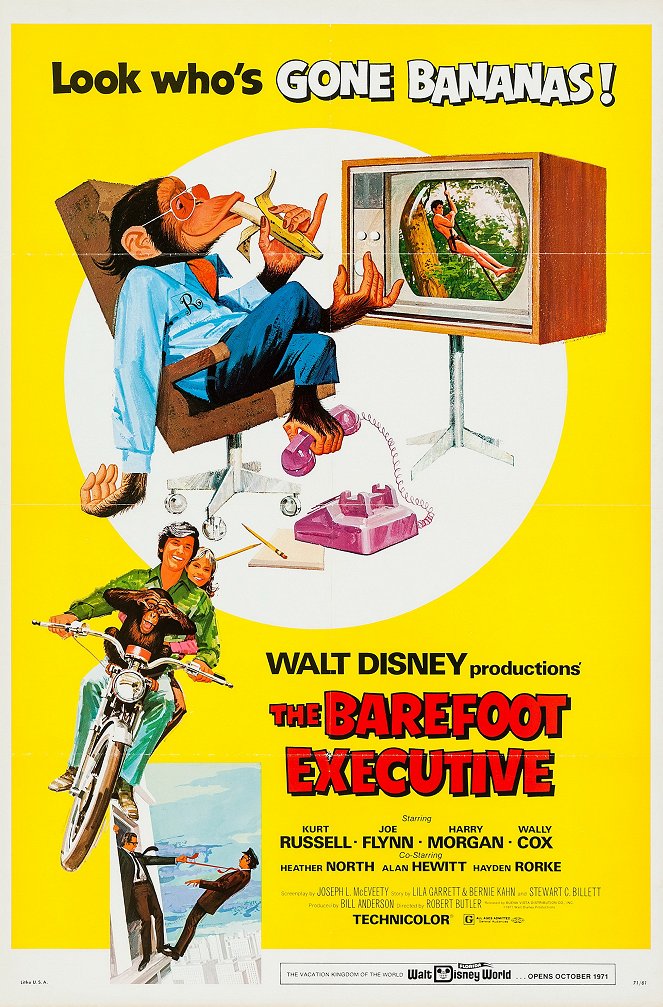 The Barefoot Executive - Posters