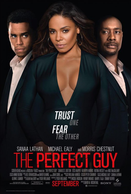 The Perfect Guy - Posters