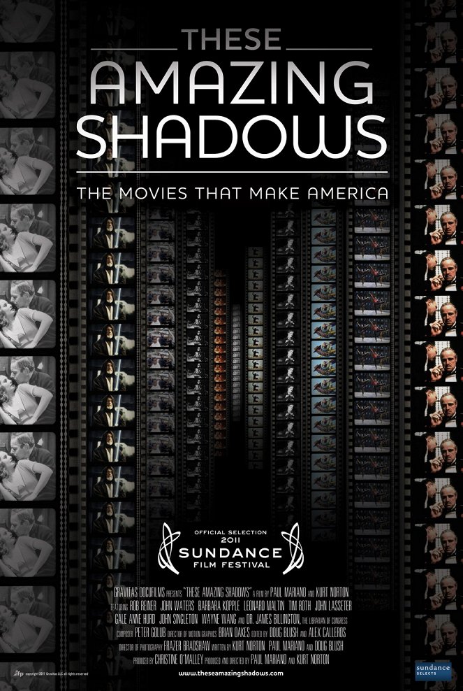 These Amazing Shadows - Affiches