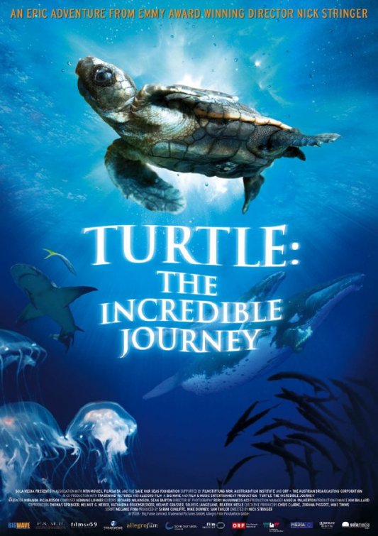 Turtle: The Incredible Journey - Posters