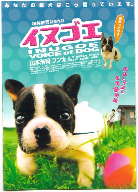 Voice of Dog - Posters