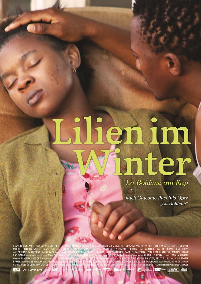 Lilien im Winter - La Bohème am Kap - Plakate