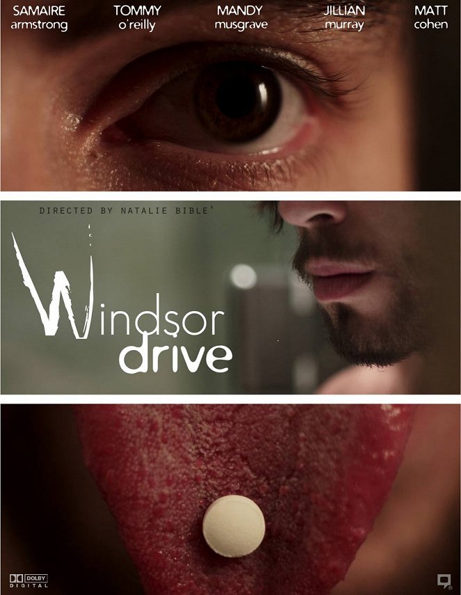 Windsor Drive - Plakátok