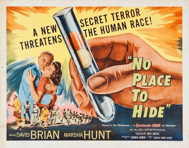 No Place to Hide - Affiches