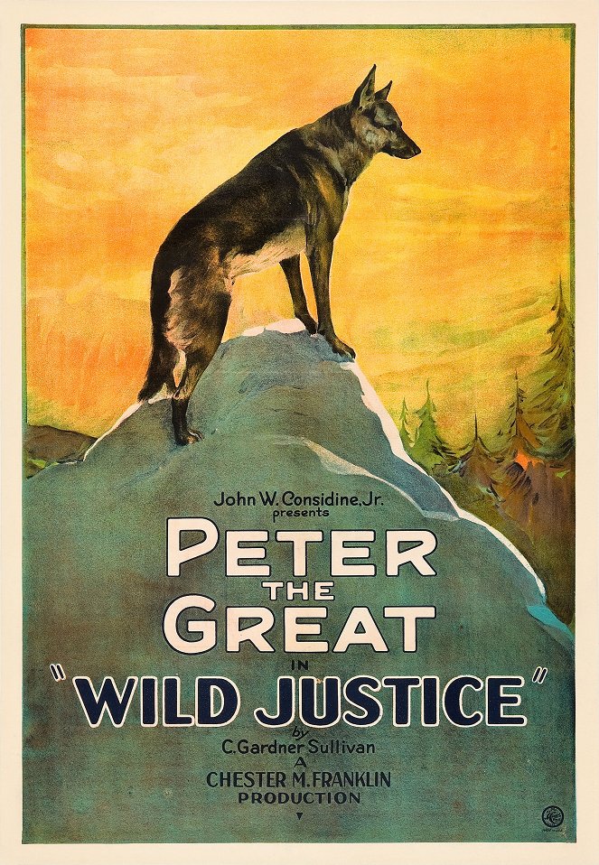 Wild Justice - Plakate