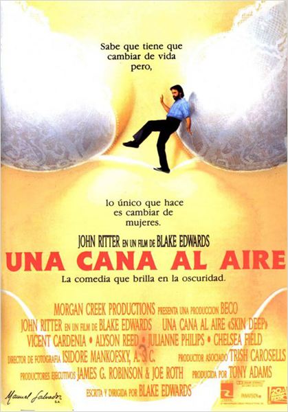 Una cana al aire - Carteles