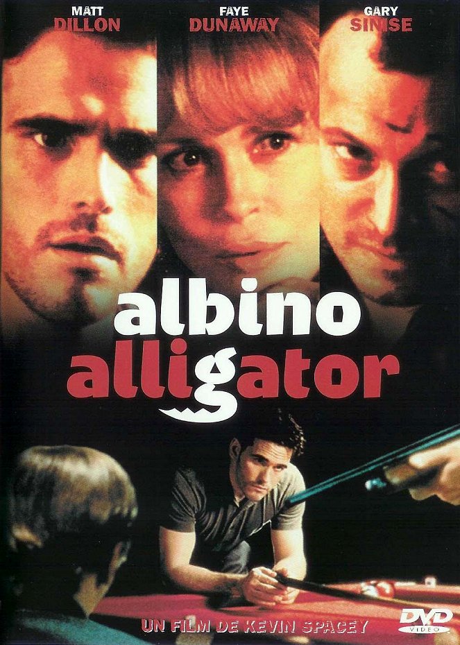 Albino Alligator - Posters