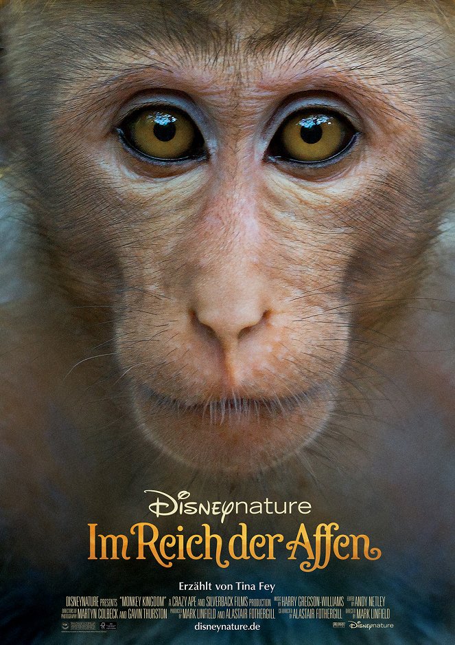 Im Reich der Affen - Plakate